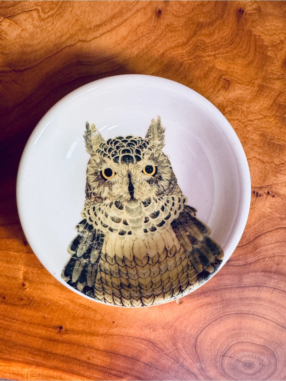 Creative Co-Op Owl Ceramic Catchall in White, Brown, Black